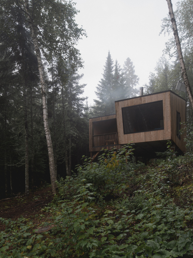 Pogled na drvenu kućicu sa jednokosim krovom smeštenu u srcu šume